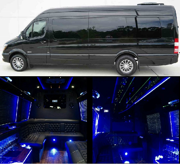 12 Seater Passenger Mercedes Benz Sprinter Bus Rental Atlanta